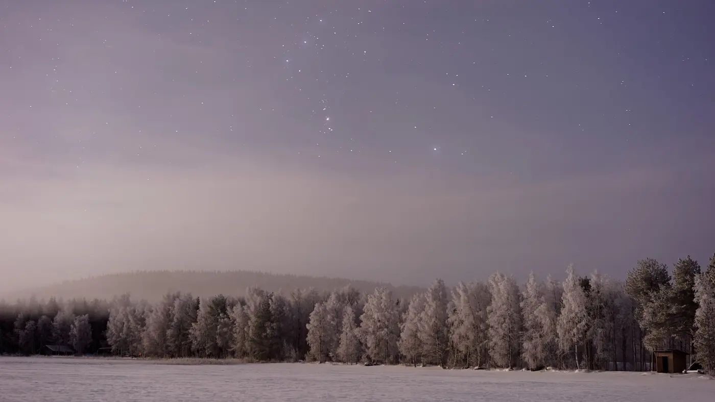 Snow-covered pine forest in Lapland at dusk